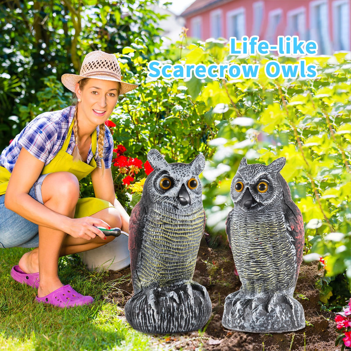 Hedoc owl decoy installed on a rooftop helps keep birds away.