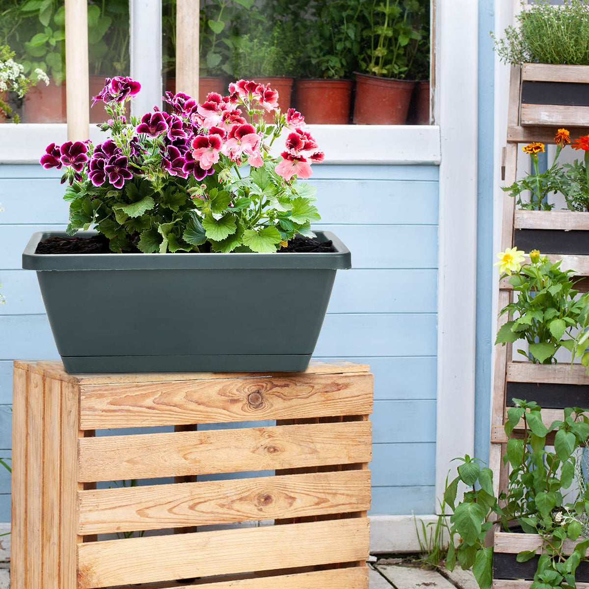 Hedume five-color pack offering vibrant options for plant displays.