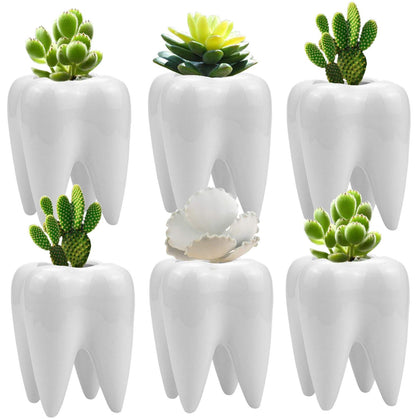 Hedume tooth-shaped planter pot displaying a mini succulent on a clean desk