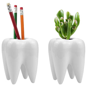 Hedume ceramic tooth planters housing herbs in bright natural light