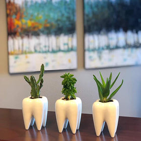 Hedume tooth-shaped planters shown as gift-ready decor set