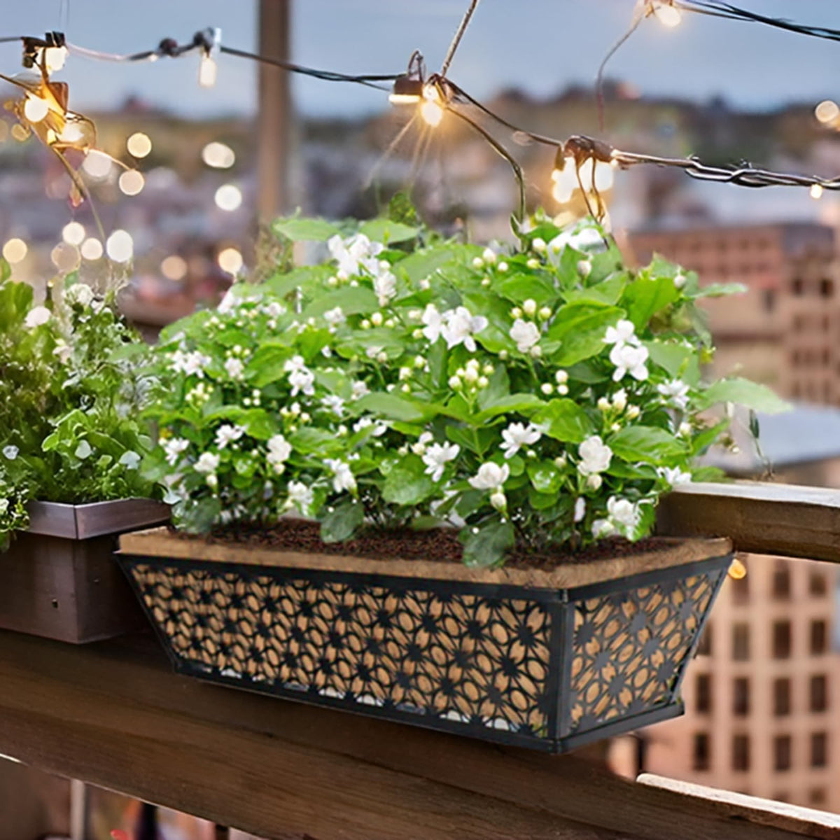 hehimhis four-pack porch planters ready to create a cohesive garden edge