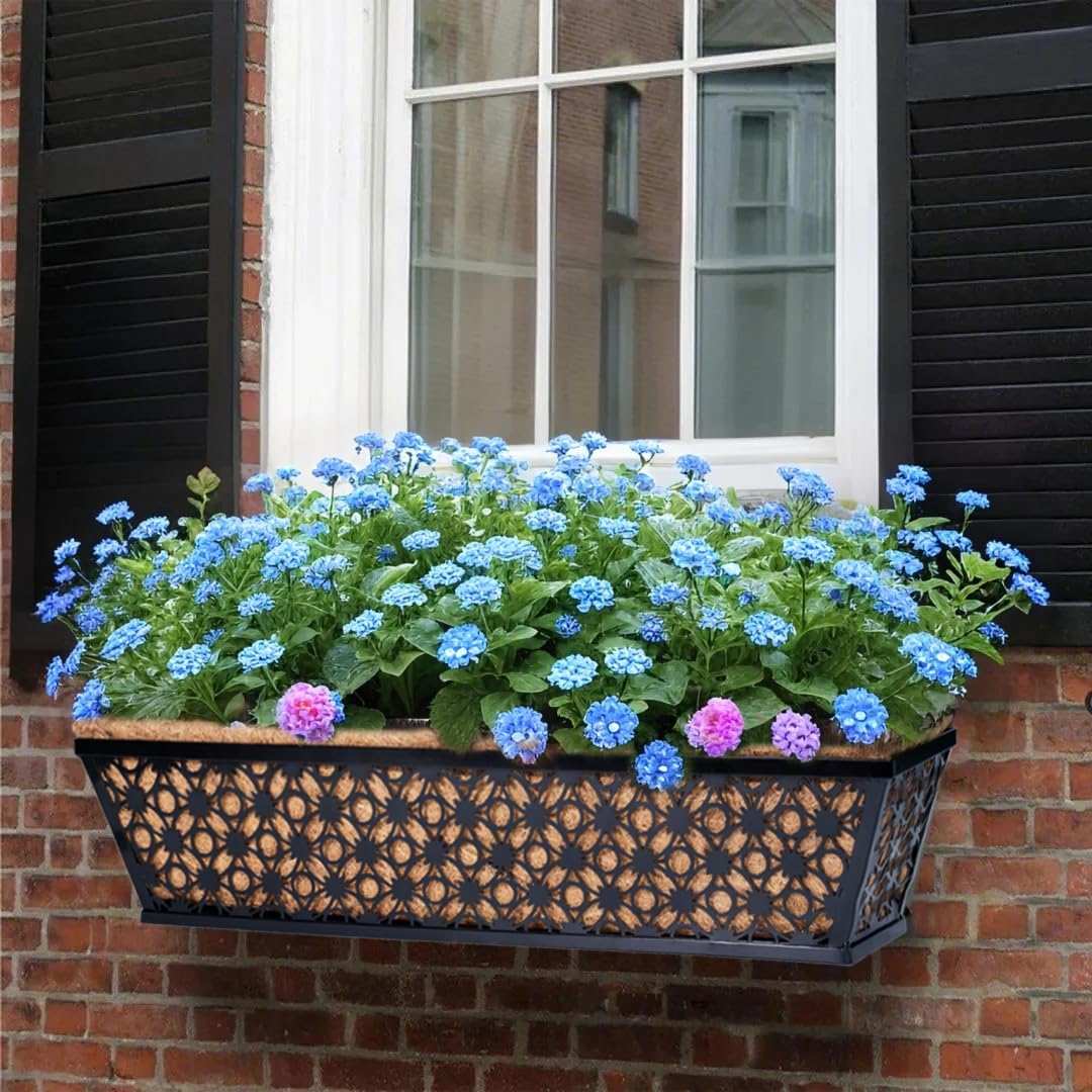 hehimhis wide capacity display showing multiple plants in one box