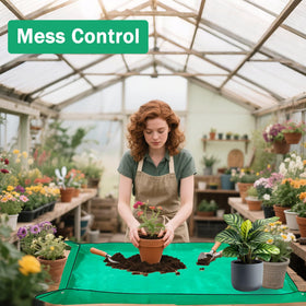 HejVulkan gift-ready packaging for plant lovers.