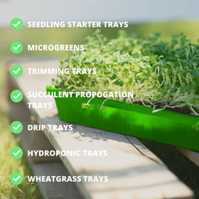 Hemlock Home Brewing BPA-free seed tray; food-safe plastic supports healthy seedlings.