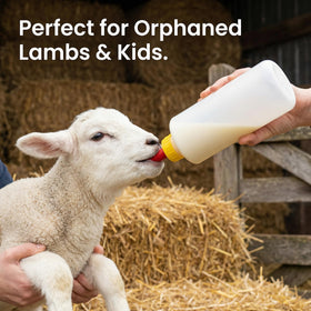 Hemoton livestock nursing bottle kit for goats, lambs, and puppies