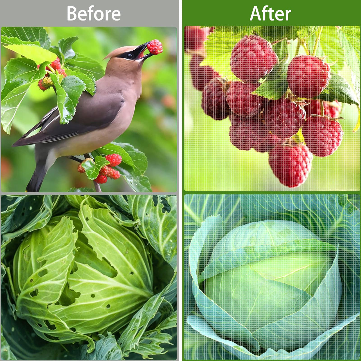 Bird barrier netting around fruit trees by HENAYUK preserving airflow in the canopy