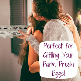 Henlay eco-friendly packaging keeps eggs protected during transport