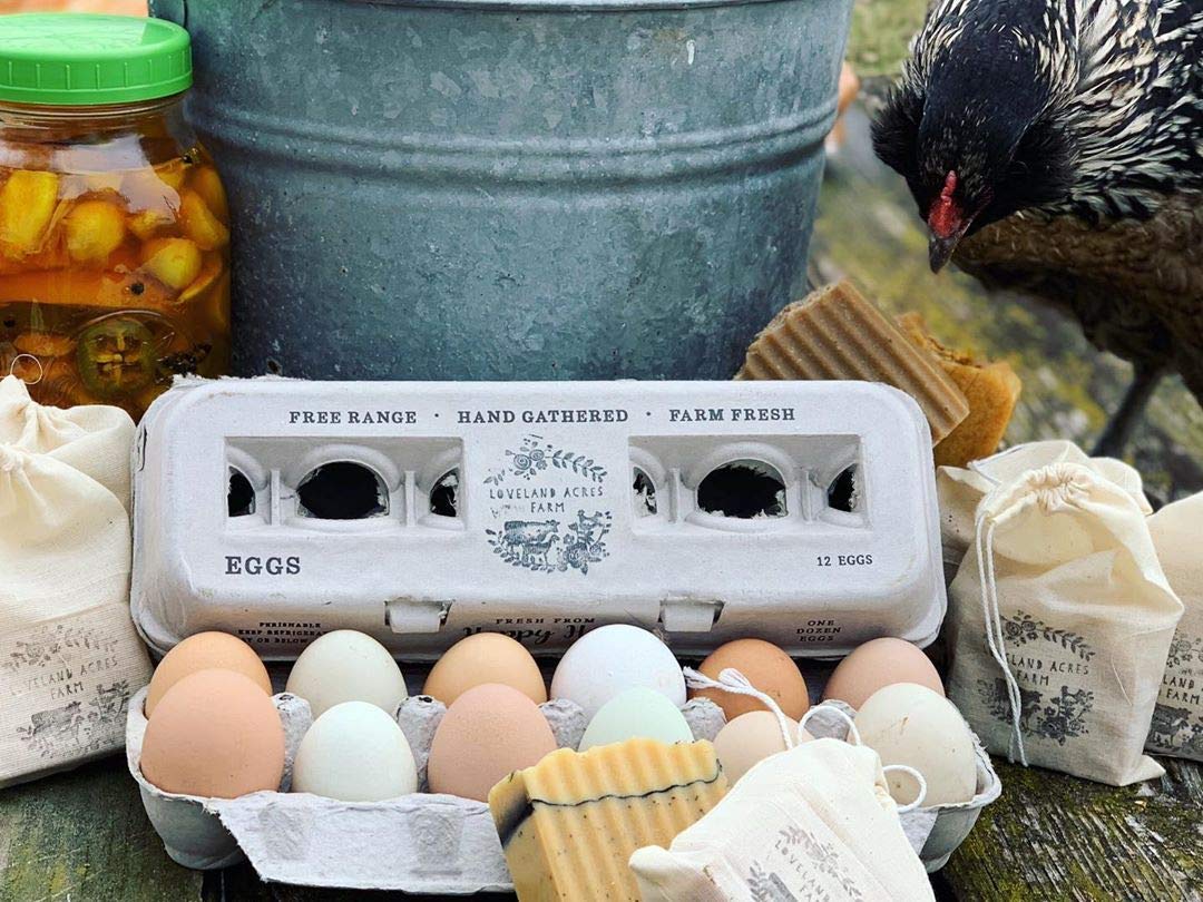 Henlay egg carton holds XL eggs securely for various uses.
