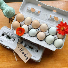 Henlay carton holds XL eggs securely for distribution