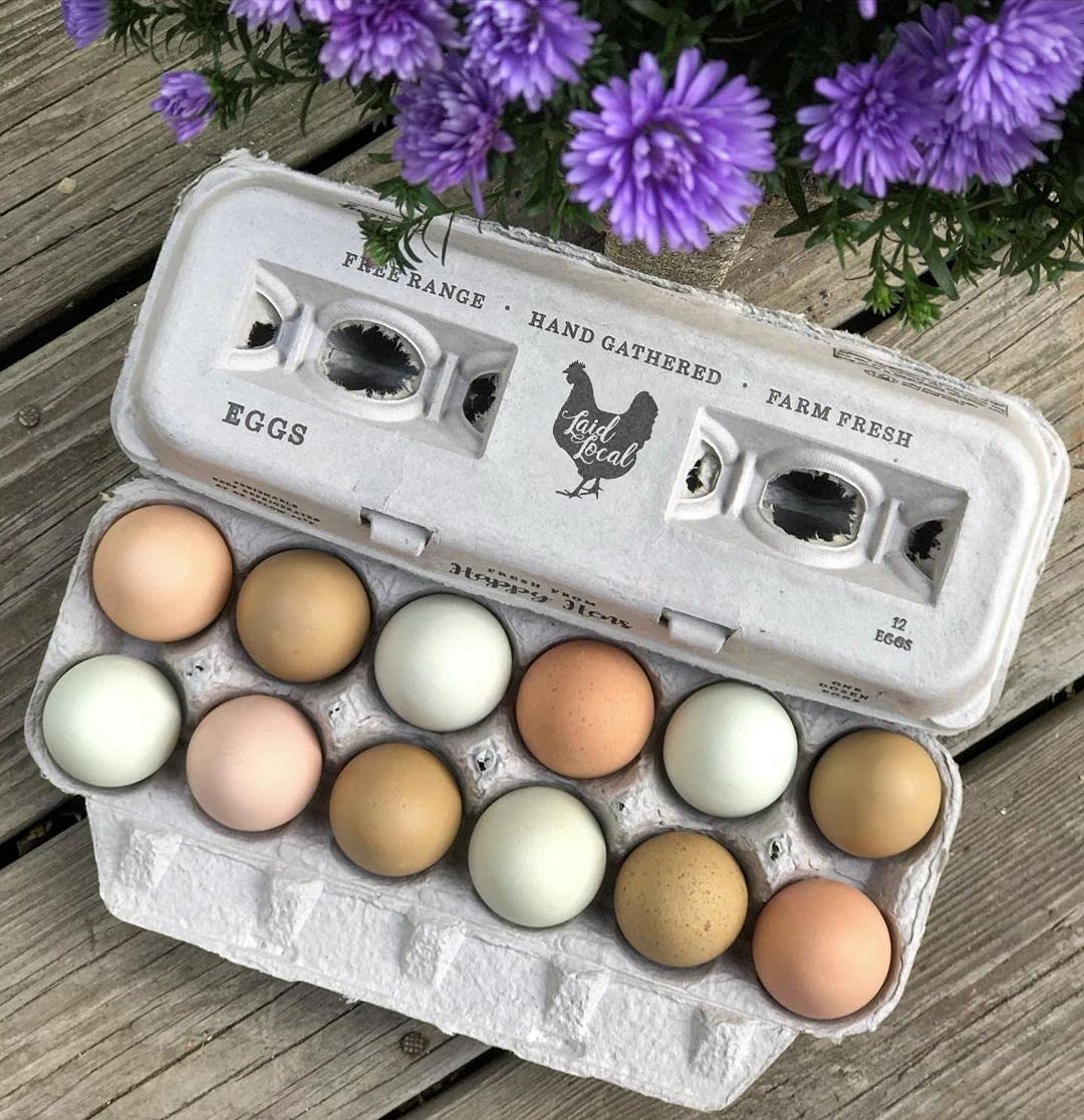 Henlay recycled-paper egg carton close-up showing sturdy packaging