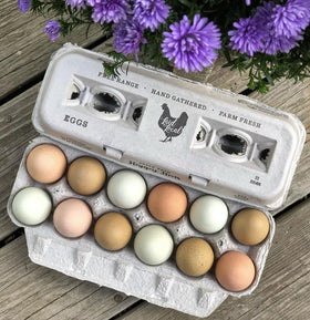 Henlay recycled-paper egg carton close-up showing sturdy packaging