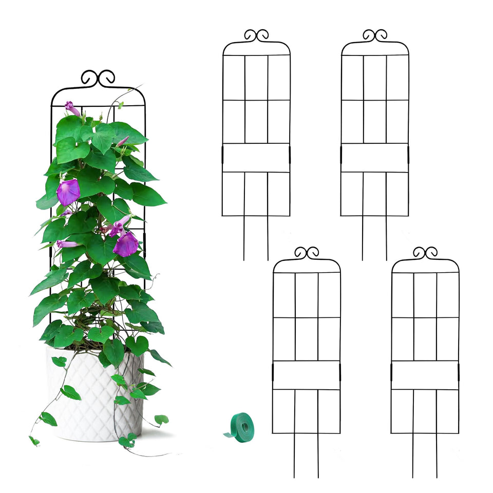 Hensal 4-pack plant trellis in metal black coating supports multiple vines indoors