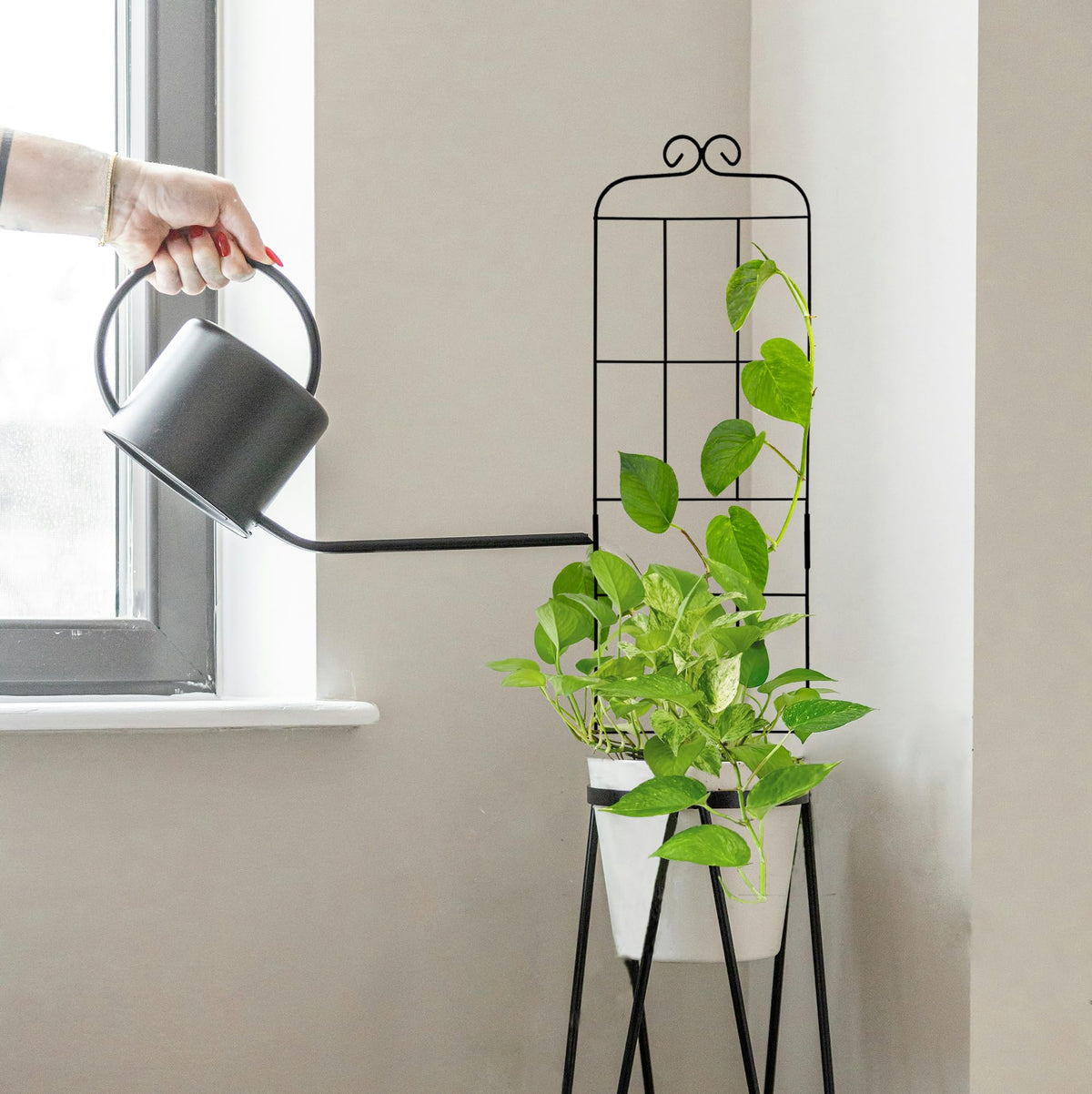 Hensal indoor-outdoor use trellis suitable for balcony planters and garden beds