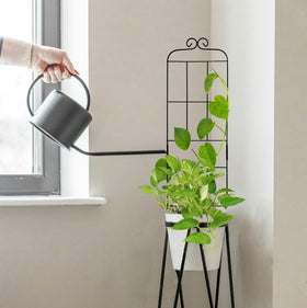 Hensal indoor-outdoor use trellis suitable for balcony planters and garden beds