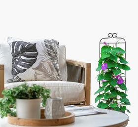 Hensal ivy and roses trellis enhances climbing plants growth and airflow