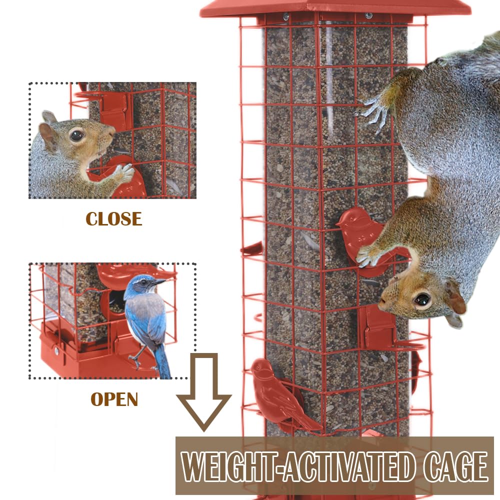 Henzavk squirrel-proof feeder four ports perches allow multiple birds.