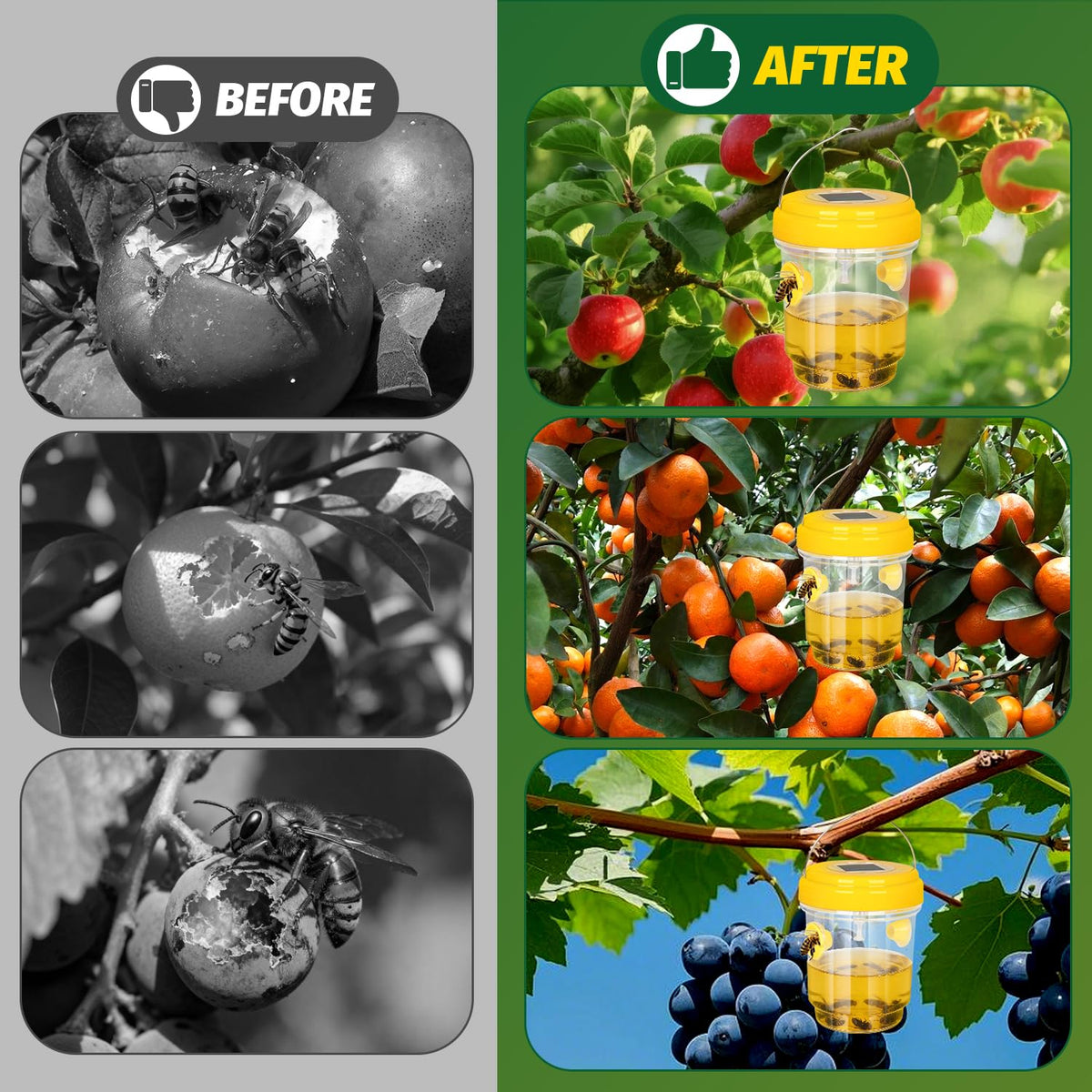 Herbal Bliss four-pack traps offer comprehensive outdoor coverage for pests.