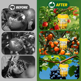Herbal Bliss four-pack traps offer comprehensive outdoor coverage for pests.