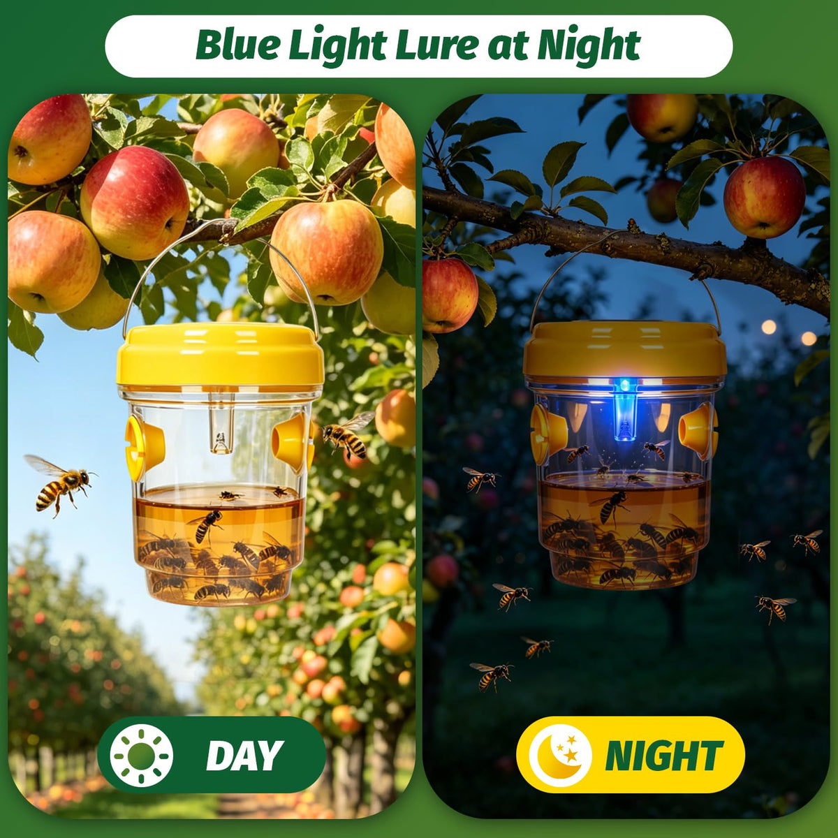 Herbal Bliss solar wasp trap night LED light is active to attract at dusk.
