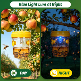 Herbal Bliss solar wasp trap night LED light is active to attract at dusk.