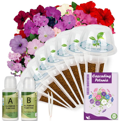 Herblink cascading petunias seed pod kit ready for indoor color and easy setup.
