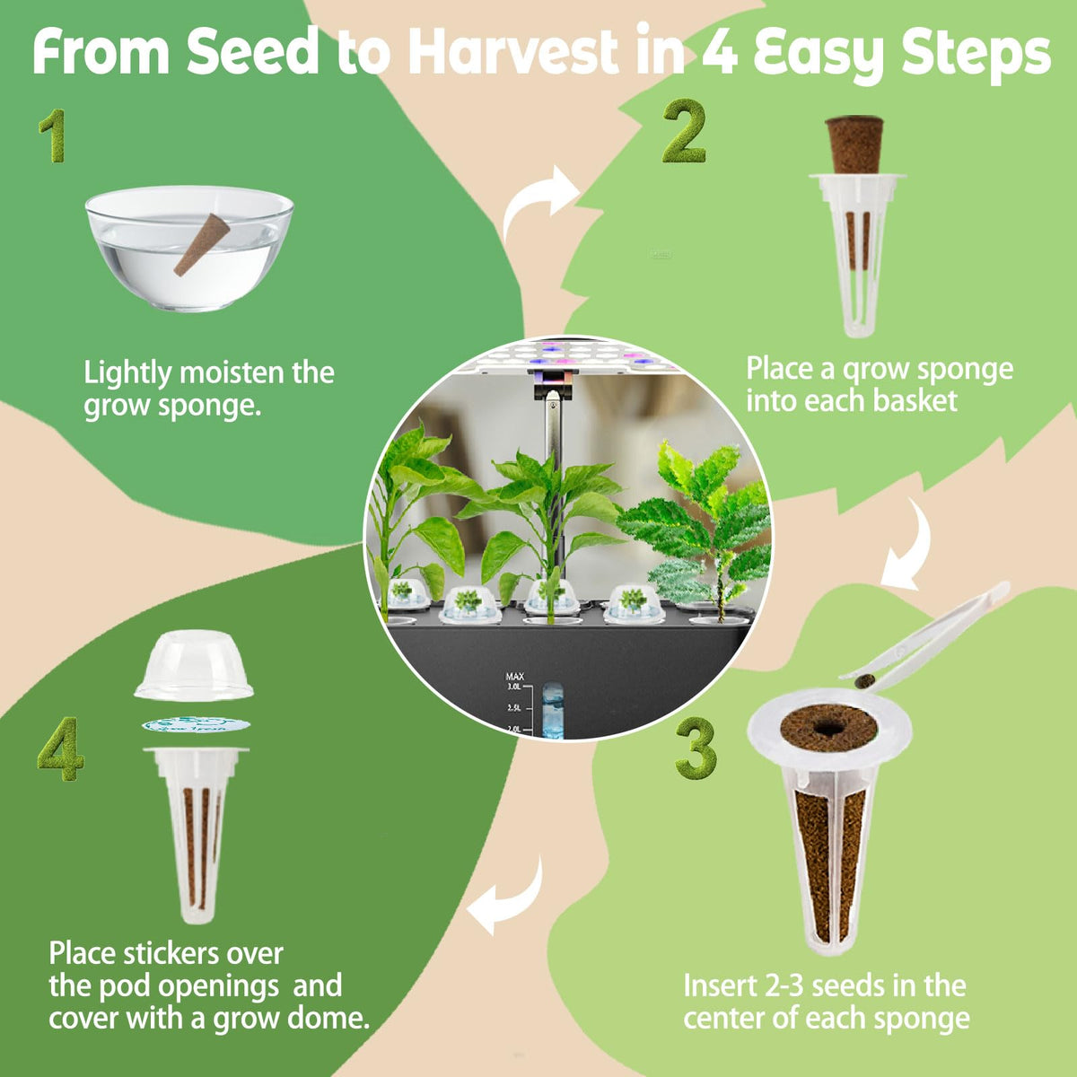 Herblink cilantro seed pods kit grow guide offers beginner-friendly growing steps