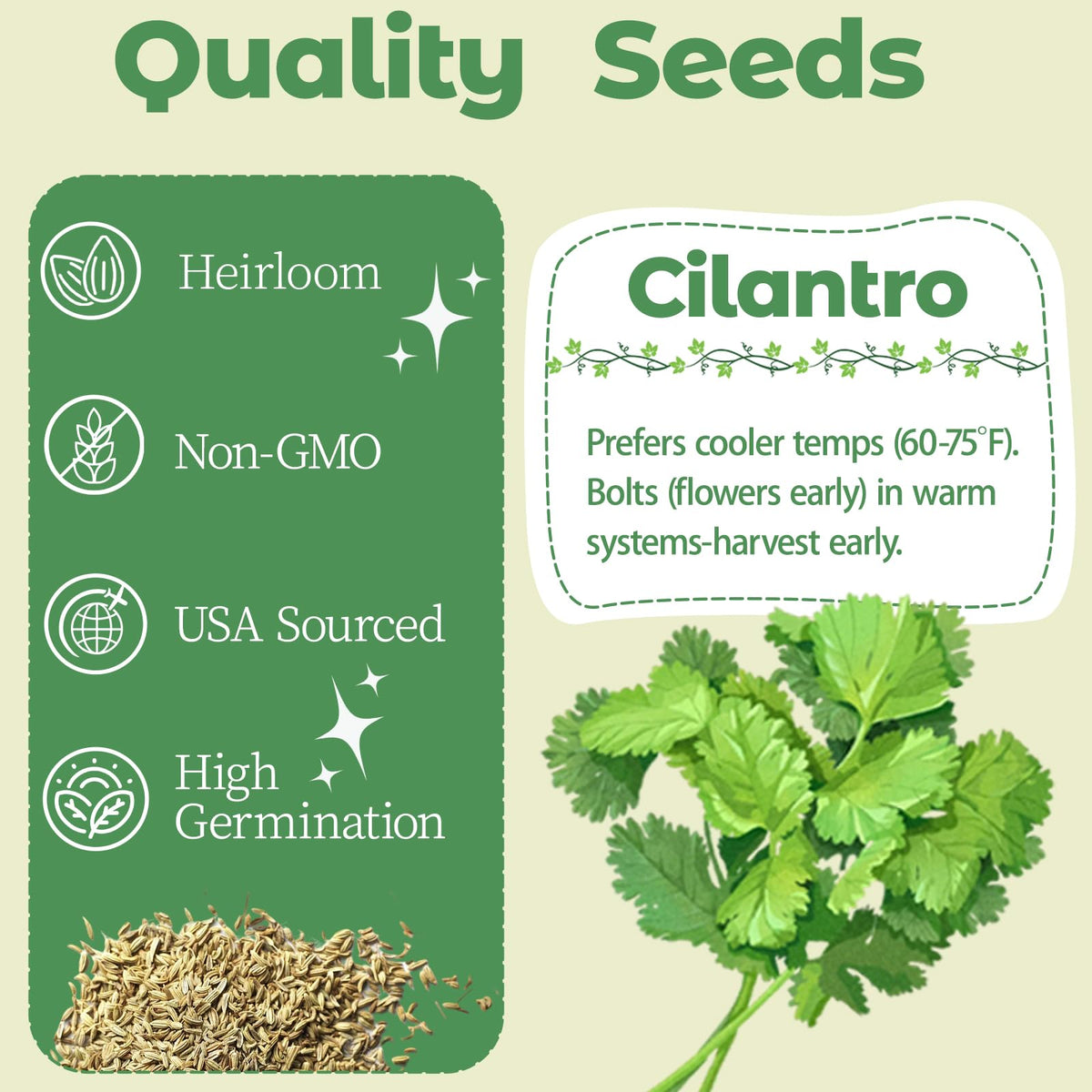 Herblink cilantro seed pods kit grow sponges promote strong roots for vibrant cilantro