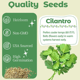 Herblink cilantro seed pods kit grow sponges promote strong roots for vibrant cilantro
