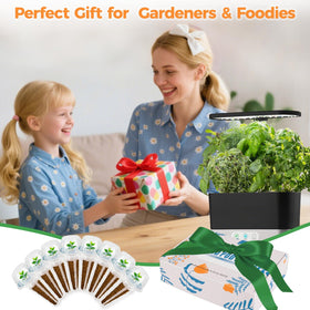 Herblink cilantro seed pods kit kitchen-ready setup for quick indoor harvest