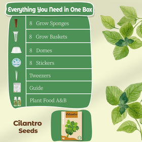 Herblink cilantro seed pods kit light-blocking-stickers optimize growth in bright indoor spaces