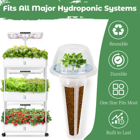 Herblink cilantro seed pods kit seeds and plant food start fresh cilantro indoors year-round