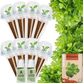 Herblink cilantro seed pods kit universal baskets and domes enable easy indoor hydroponics