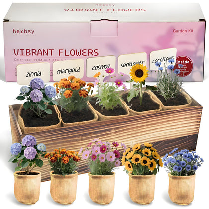 Herbsy 5 Indoor Flower Kit packaging in a wooden box, ideal as a gift