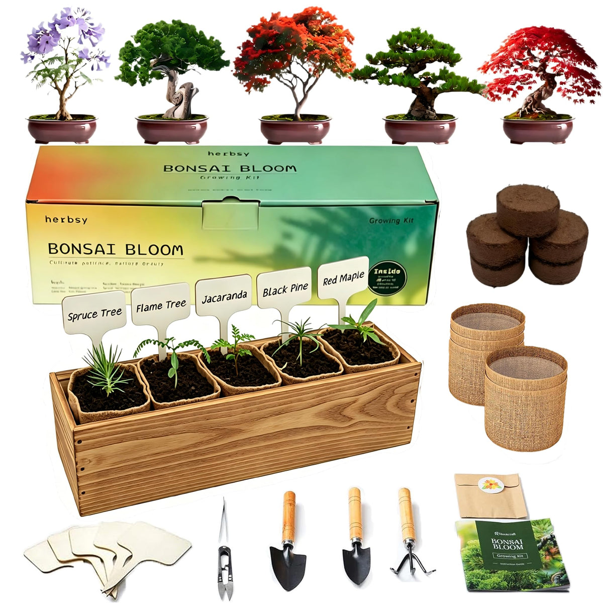 Herbsy bonsai kit in a wooden box display for an stylish indoor garden