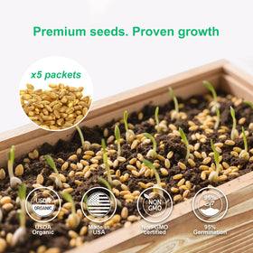 Herbsy hand tools simplify planting for quick growth.