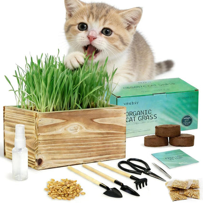 Herbsy Cat Grass Kit planter in wood adds natural charm and inviting indoor greens.