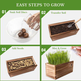 Herbsy soil discs for cat grass promote healthy germination.