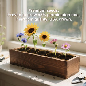 Herbsy gift-ready box for plant lovers on special occasions