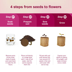 Herbsy planting guide with scissors, tweezers, and watering bottle for precise care