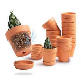 HERDUK 3inch terracotta pot with drainage hole for healthy roots.