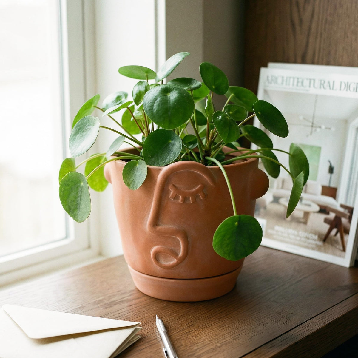 HERDUK 6-inch terracotta abstract face planter on a shelf for chic indoor decor