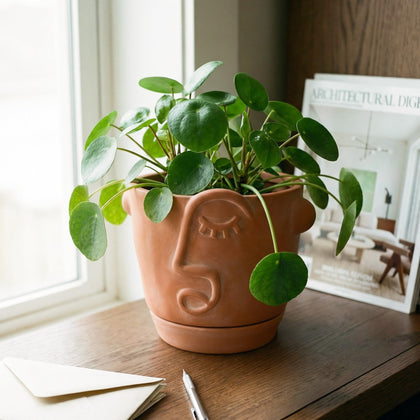 HERDUK 6-inch terracotta abstract face planter on a shelf for chic indoor decor