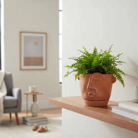HERDUK artistic head planter brightening a windowsill