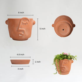 HERDUK Picasso-inspired face pot adds artistic flair for small plants