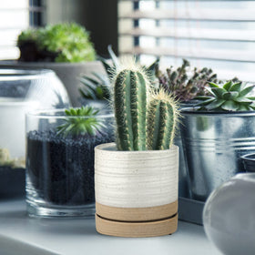HERDUK planter suitable for kitchen windowsill or patio use