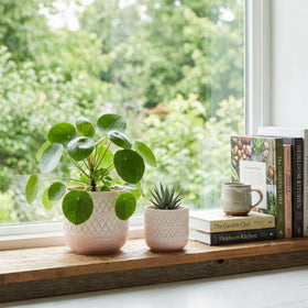 HERDUK drainage-hole plug-screen combo keeps interiors clean and allows easy watering