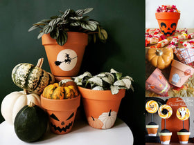HERDUK reusable terracotta pots ease cleanup and ongoing use.