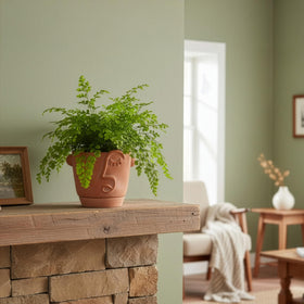 HERDUK sculptural face planter enhances boho and eclectic decor