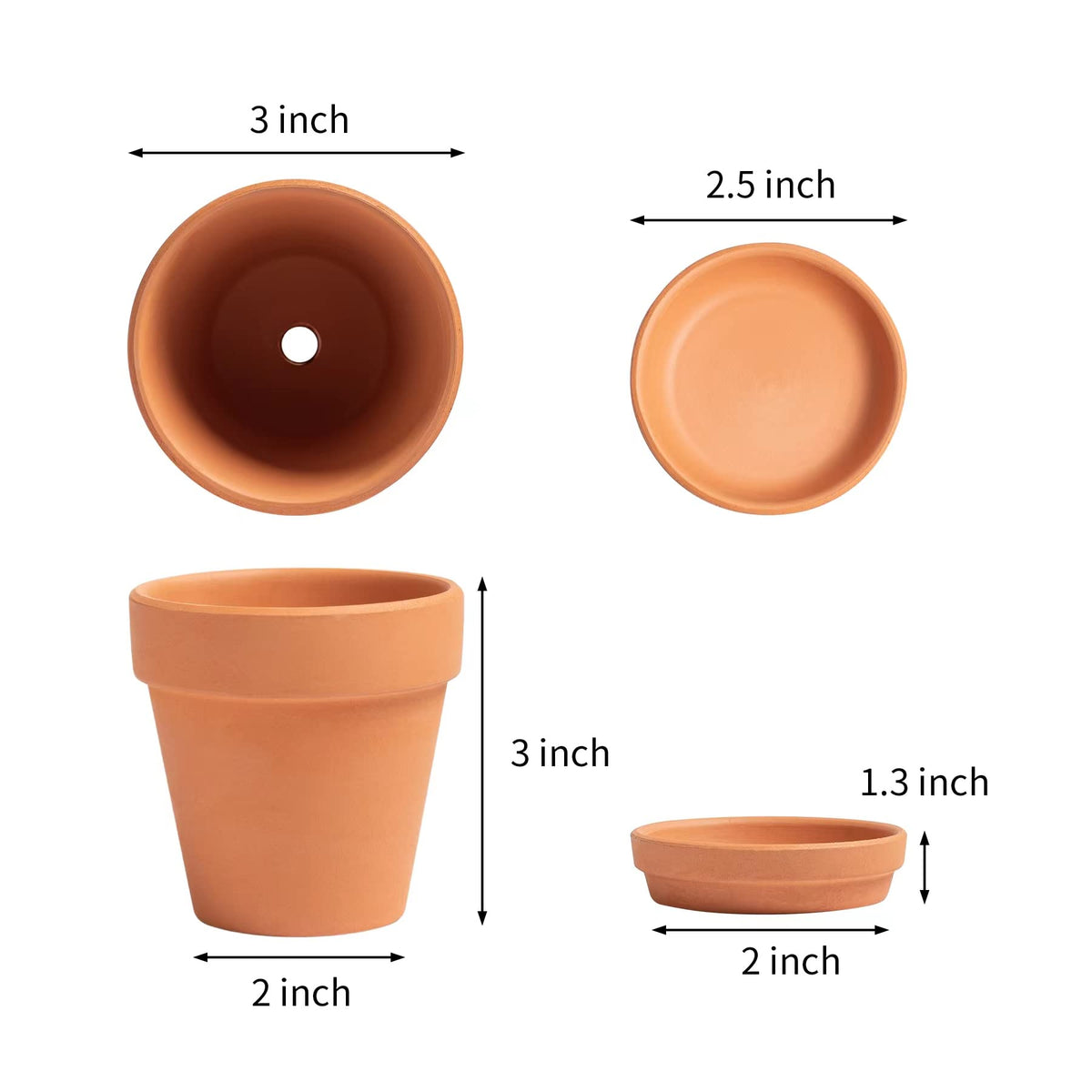 HERDUK seedling propagation setup supports gentle root development.